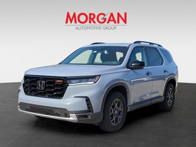 2024 Honda Pilot - Photo 3