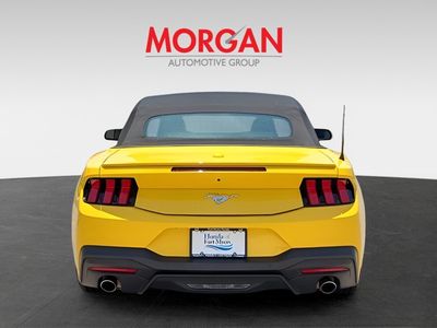 2024 Ford Mustang - Photo 5