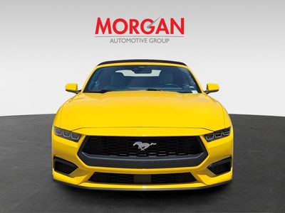 2024 Ford Mustang - Photo 2