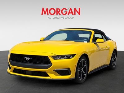 2024 Ford Mustang - Photo 3