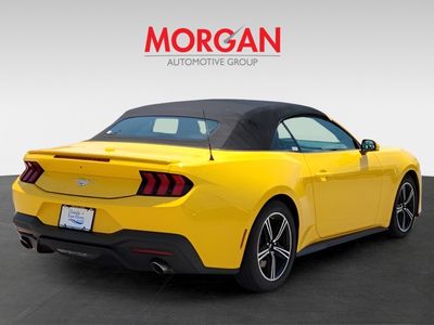 2024 Ford Mustang - Photo 6