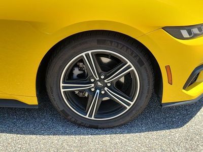2024 Ford Mustang - Photo 7