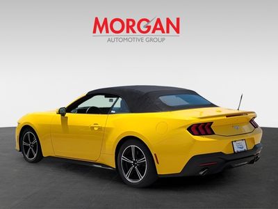 2024 Ford Mustang - Photo 4