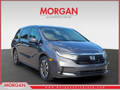 2024 Honda Odyssey - Photo 1