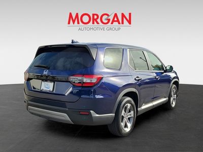 2024 Honda Pilot - Photo 6