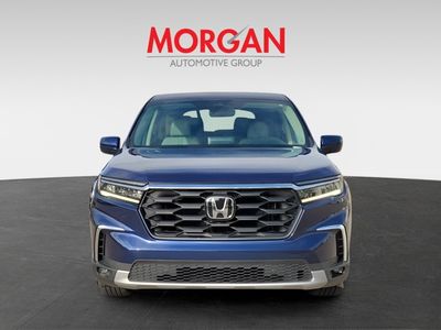 2024 Honda Pilot - Photo 2