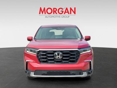 2024 Honda Pilot - Photo 2