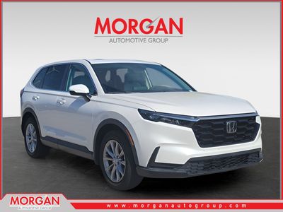2024 Honda CR-V - Photo 1