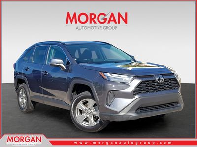2024 Toyota RAV4 - Photo 1