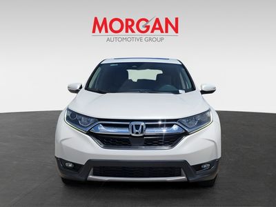 2019 Honda CR-V - Photo 2