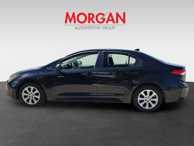 2024 Toyota Corolla - Photo 2