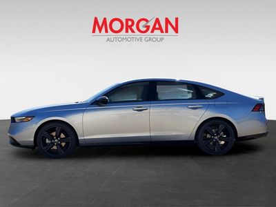 2025 Honda Accord Hybrid - Photo 8