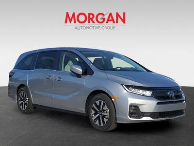 2026 Honda Odyssey - Photo 3