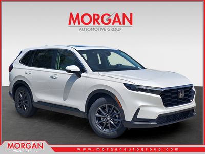 2026 Honda CR-V - Photo 1