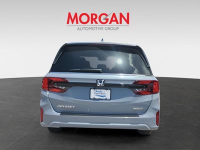 2026 Honda Odyssey — detail view