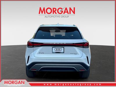 2024 Lexus RX - Photo 4