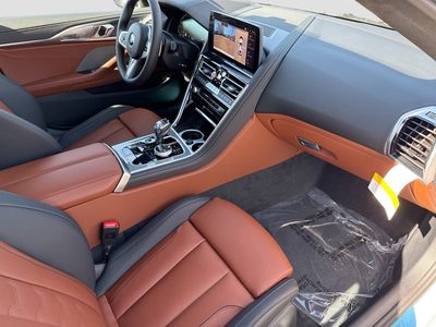 2026 BMW 8 Series - Photo 14