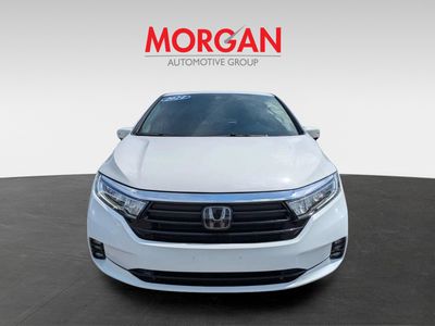 2024 Honda Odyssey - Photo 8