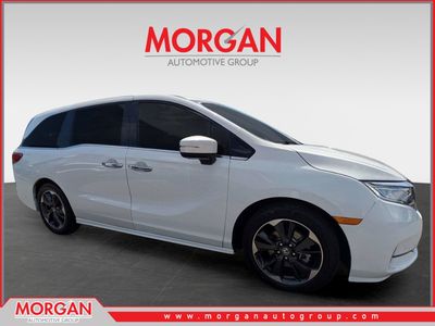2024 Honda Odyssey - Photo 1