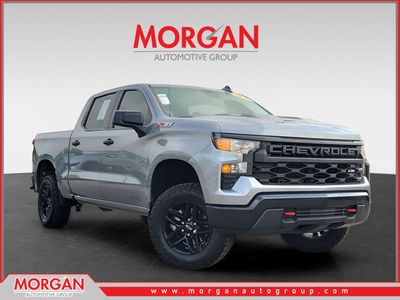 2024 Chevrolet Silverado 1500 - Photo 1
