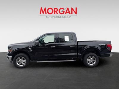 2024 Ford F-150 - Photo 6