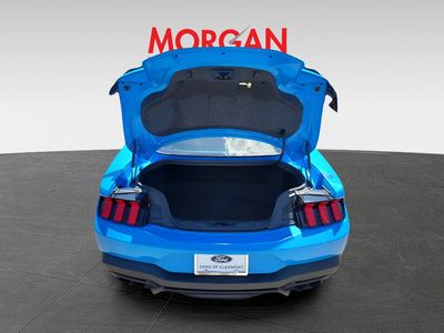 2024 Ford Mustang - Photo 8