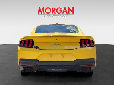 2024 Ford Mustang - Photo 4