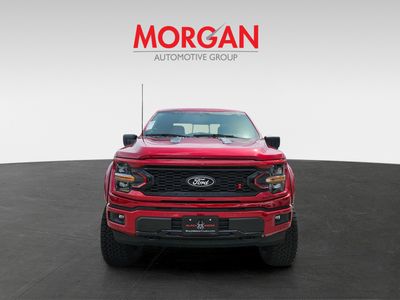 2025 Ford F-150 - Photo 3