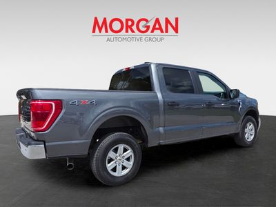 2023 Ford F-150 - Photo 3