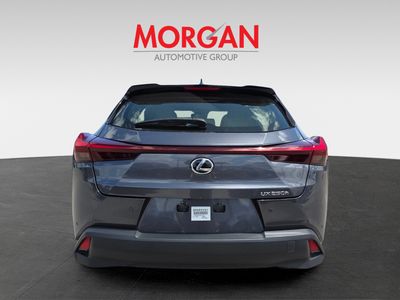 2023 Lexus UX - Photo 4