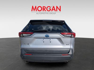 2022 Toyota RAV4 - Photo 4