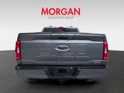 2023 Ford F-150 - Photo 4
