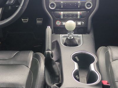2019 Ford Mustang - Photo 18