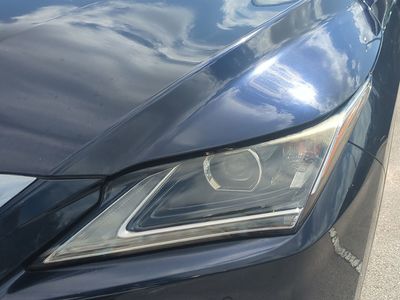 2019 Lexus RX - Photo 10