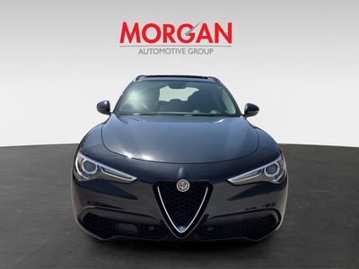 2019 Alfa Romeo Stelvio - Photo 3