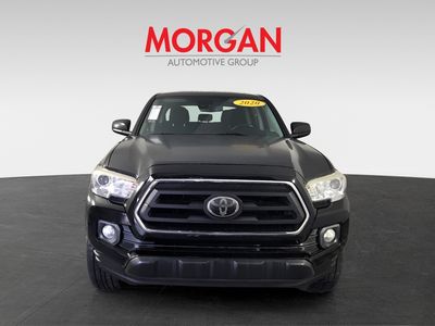 2020 Toyota Tacoma - Photo 3