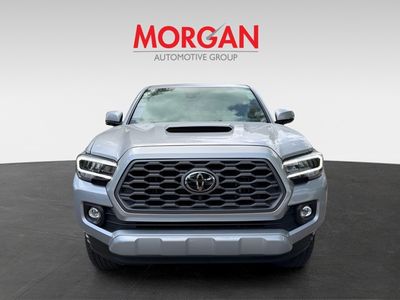 2023 Toyota Tacoma - Photo 2