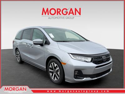 2026 Honda Odyssey - Photo 1