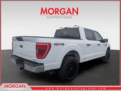 2023 Ford F-150 — rear three-quarter view