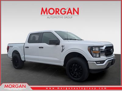 2023 Ford F-150 XLT in White — front three-quarter view