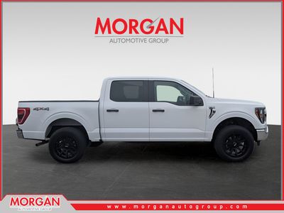 2023 Ford F-150 — side profile view