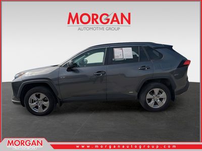 2024 Toyota RAV4 Hybrid - Photo 6