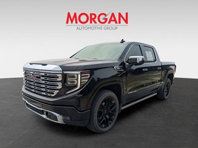2023 GMC Sierra 1500 - Photo 8
