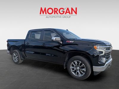 2025 Chevrolet Silverado 1500 - Photo 2