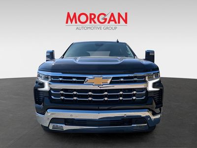 2025 Chevrolet Silverado 1500 - Photo 8