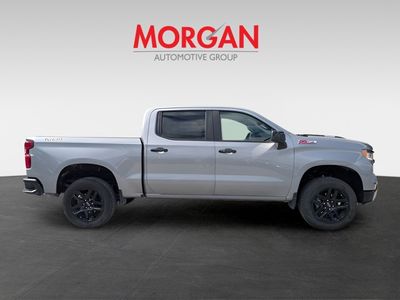 2025 Chevrolet Silverado 1500 - Photo 3