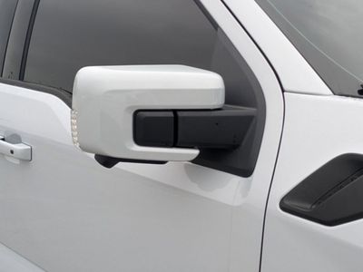 2025 Ford F-150 - Photo 10