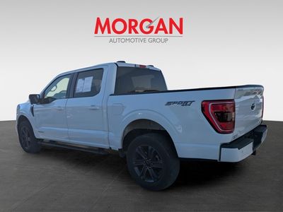 2023 Ford F-150 — detail view