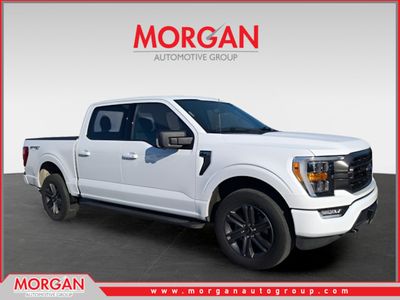 2023 Ford F-150 XLT in White — front three-quarter view