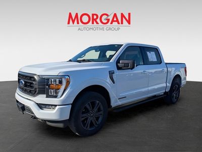 2023 Ford F-150 — photo 7 view